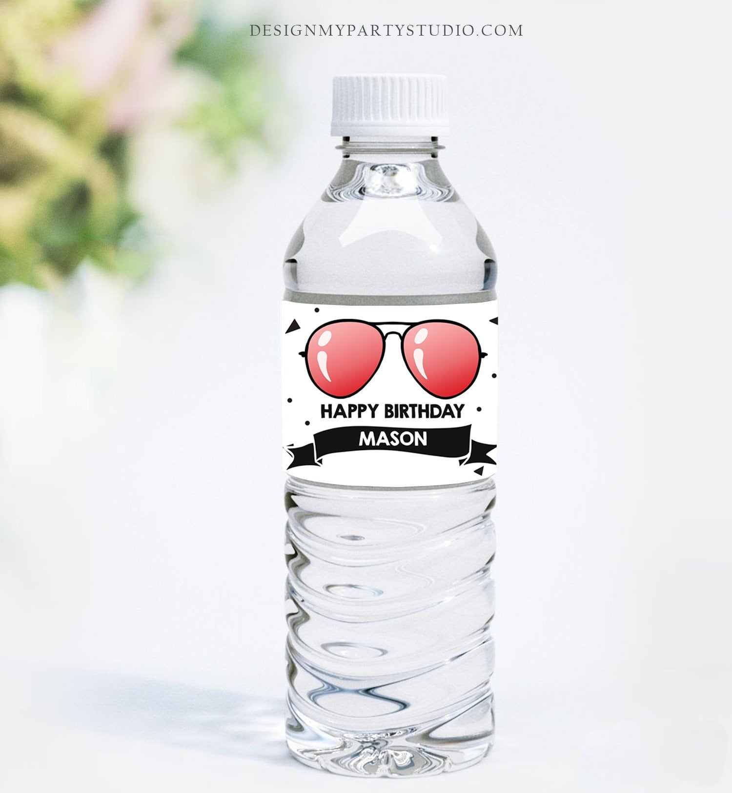 Editable Water Bottle Labels Sunglasses Two Cool Birthday Boy 2nd Birthday Red Summer I'm This Many Palm Decor Printable Template Corjl 0136