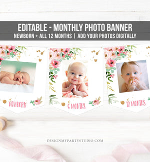 Editable First Birthday Monthly Photo Banner Little Miss Onederful Birthday Floral Pink Gold Wild One Corjl Download Template Printable 0147