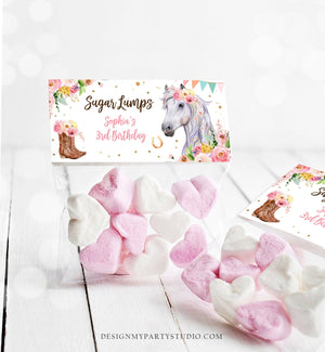 Editable Horse Treat Bag Toppers Horse Birthday Favors Girl Horse Party Favor Tags Cowgirl Pink Floral Corjl Template Printable 0408