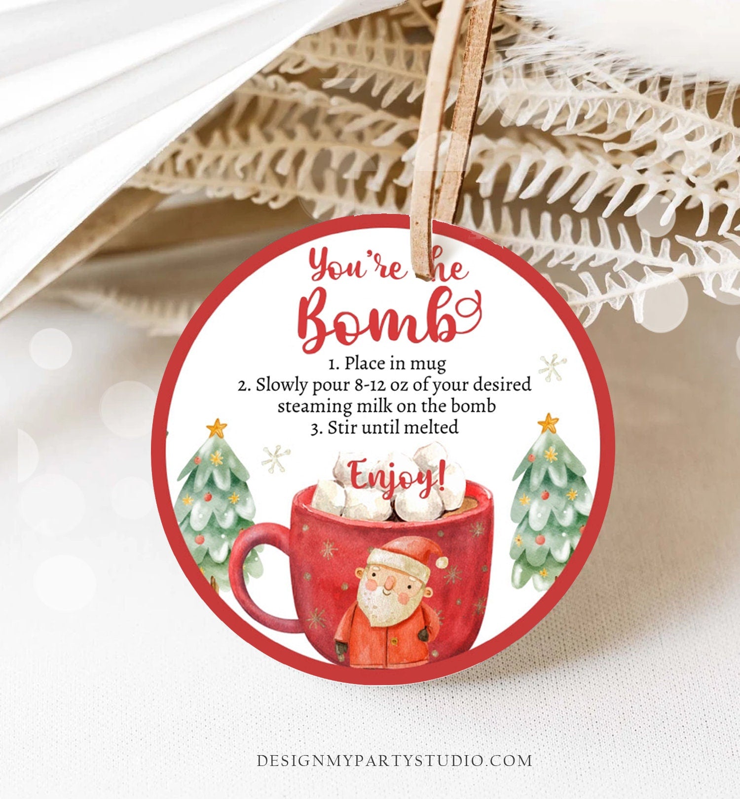 Editable Hot Chocolate Bomb Tags Bomb Instructions Cookies and Cocoa Favor Tags Winter Christmas You're The Bomb Digital PRINTABLE 0445 0443