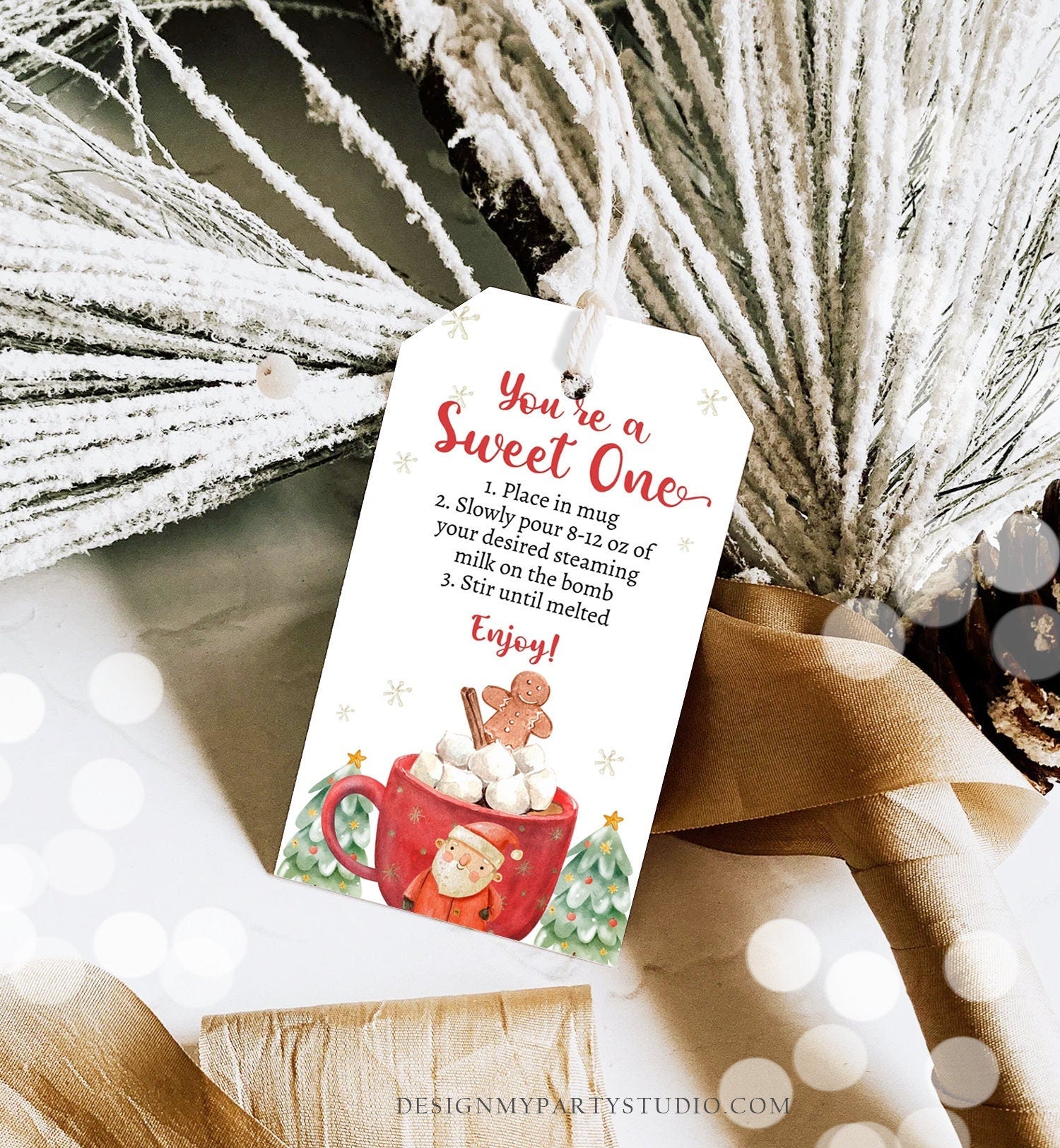 Editable Hot Chocolate Bomb Tags Bomb Instructions Holiday Favor Tags Winter Christmas You're a Sweet One Cocoa Digital PRINTABLE 0443 0445