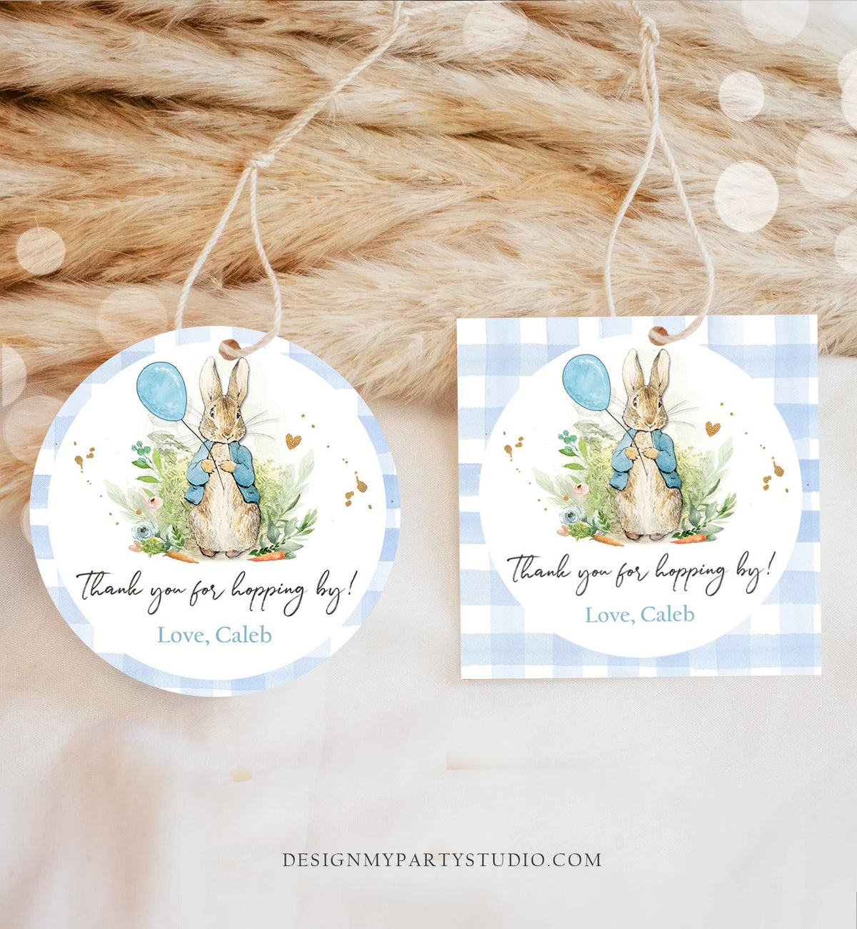 Editable Peter Rabbit Favor Tags Bunny Thank you Tags Round Boy Birthday Labels Thanks Hopping By Printable Download Corjl Template 0351