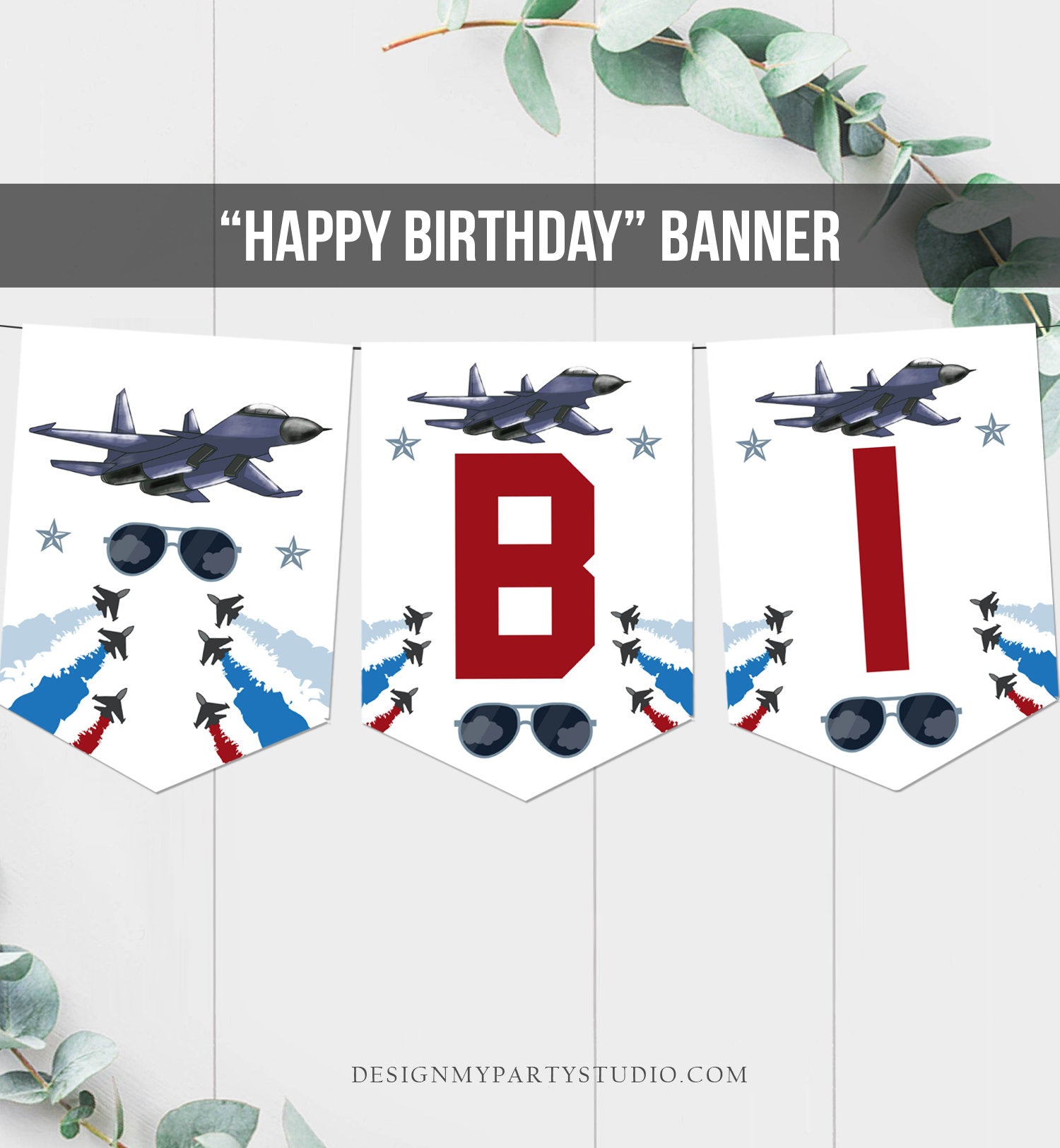 I Feel The Need For Speed Fighter Pilot Birthday Poster