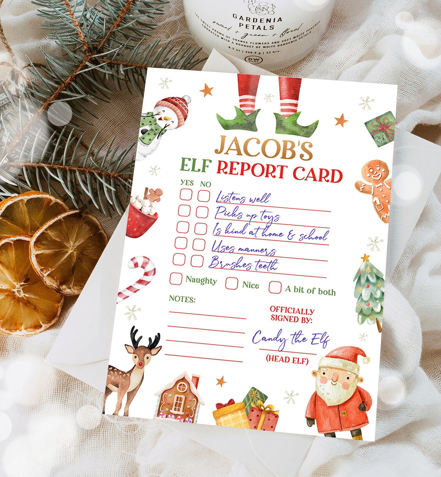 Editable Elf Report Card Personalized Elf Letter Christmas Elf Letter From Your Elf Report Card Santa Claus Decor Printable Template 0445
