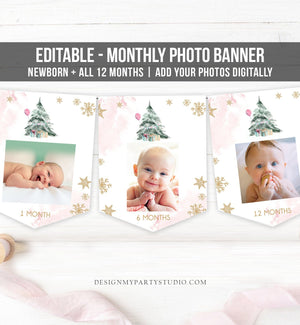 Editable Winter Onederland First Birthday Banner Monthly Photo Banner 1st Tree Watercolor Snow Pink Gold Girl Corjl Template Printable 0363